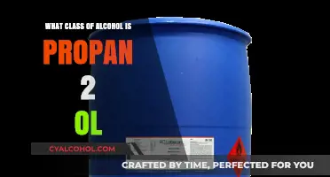 Understanding Propan-2-ol: Its Classification in the Alcohol Family Explained