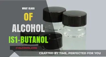 Understanding 1-Butanol: Classification and Properties of This Alcohol
