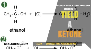 Alcohol Oxidation: Ketone Formation and Classification