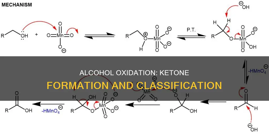 what classification of alcohol undergoes oxidation to yield a ketone