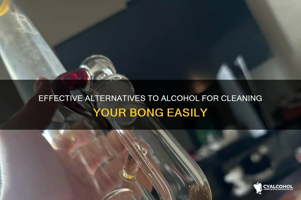 what cleans a bong besides alcohol