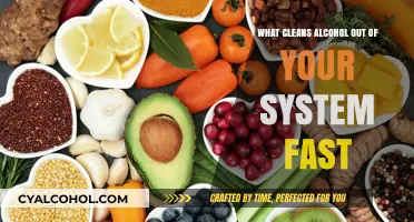 Effective Ways to Quickly Eliminate Alcohol from Your System
