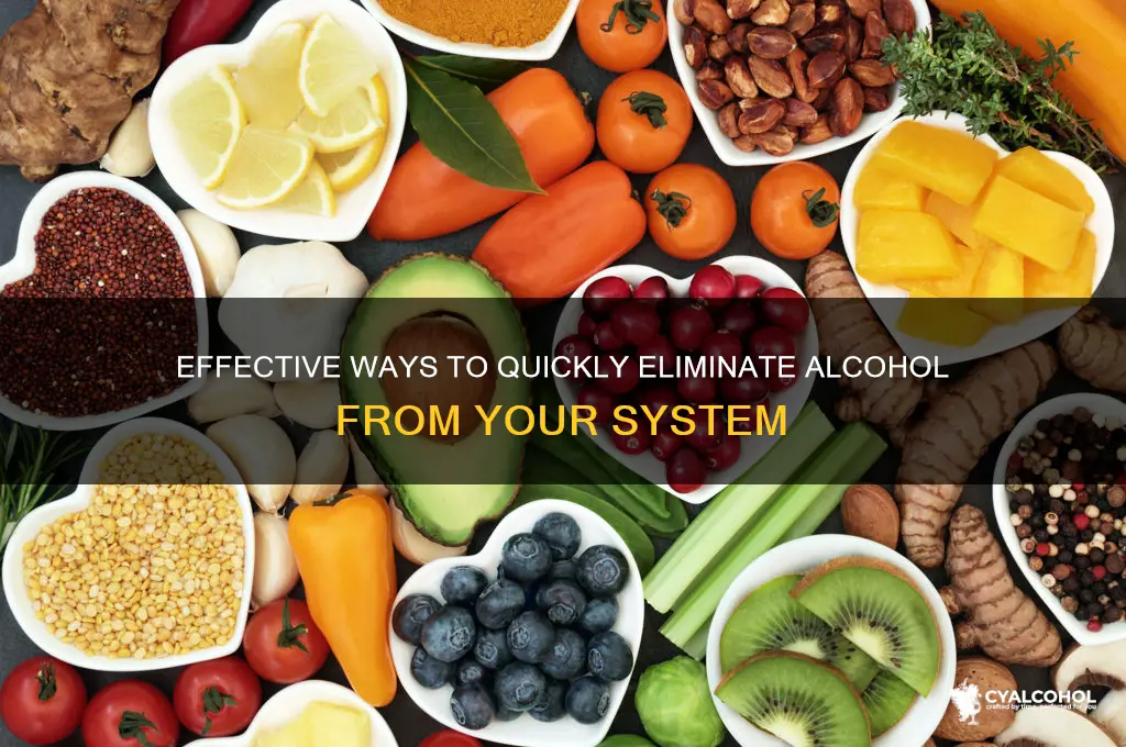 what cleans alcohol out of your system fast