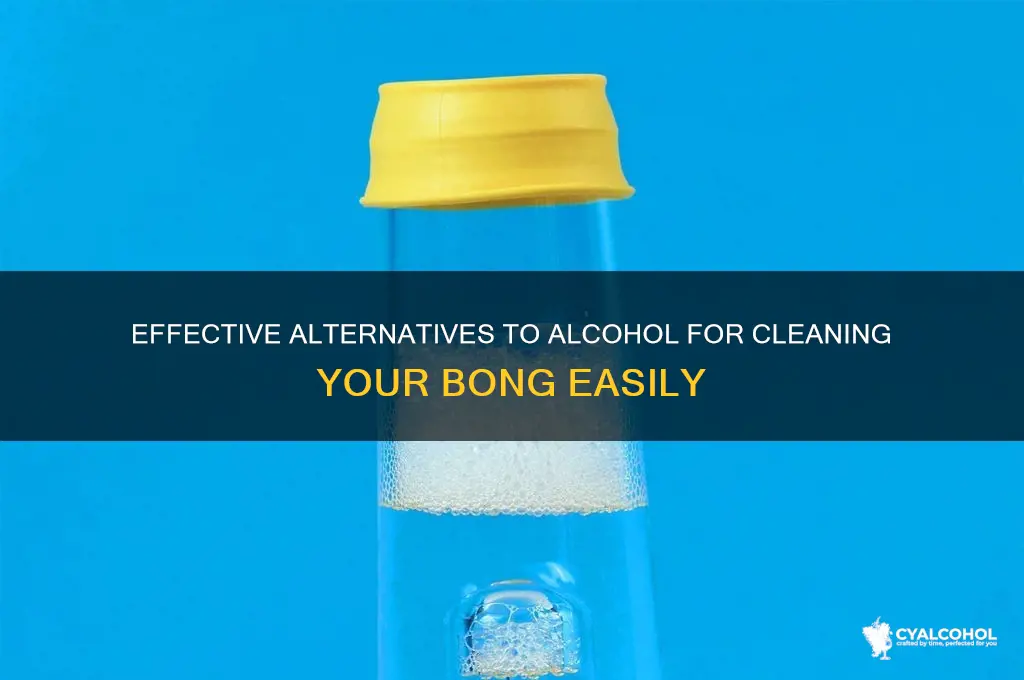 what cleans bongs besides alcohol