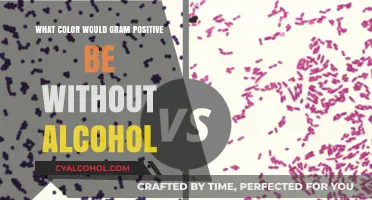 Gram-Positive Color Mystery: Unveiling the Hue Without Alcohol Influence