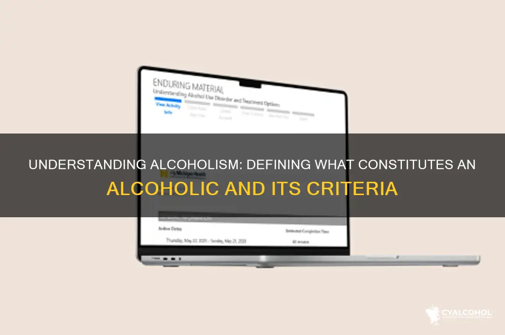 what constitutes an alcoholic