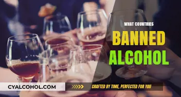 Global Prohibition: Countries Where Alcohol is Banned or Restricted