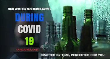 COVID-19 Alcohol Bans: Which Countries Prohibited Liquor During Pandemic?