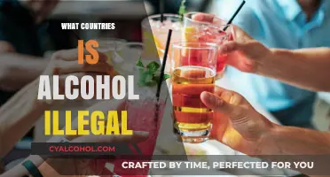 Global Dry Zones: Countries Where Alcohol is Completely Banned