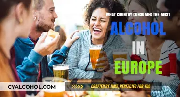 Europe's Top Alcohol Consumer: Which Country Leads the Pack?