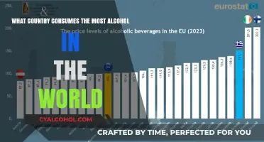 Alcohol Consumption: Which Country Leads the World?