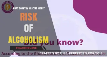 Global Alcoholism Crisis: Which Nation Faces the Highest Risk?