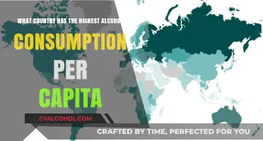 Alcohol Consumption: Which Country Leads the World?