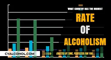 Global Alcoholism Crisis: Which Nation Tops the List?