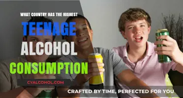 Global Teenage Drinking: Which Nation Tops Alcohol Consumption Rates?