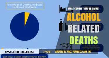 Global Alcohol Crisis: Which Nation Faces the Highest Death Toll?