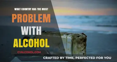 Global Alcohol Crisis: Which Nation Struggles the Most with Drinking?