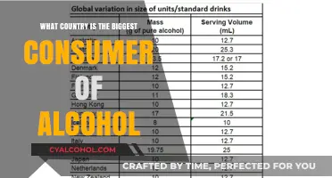 Global Alcohol Consumption: Which Country Tops the Drinks Chart?