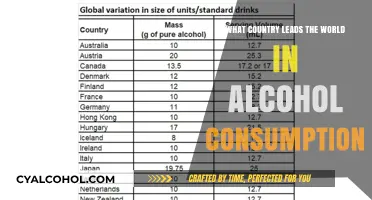 Global Alcohol Consumption: Which Nation Tops the Drinks Chart?