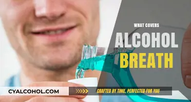 Effective Ways to Mask Alcohol Breath: Quick Tips and Remedies