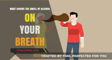 Masking Alcohol Breath: Quick Fix or Myth?