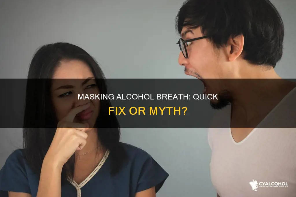 what covers the smell of alcohol on your breath