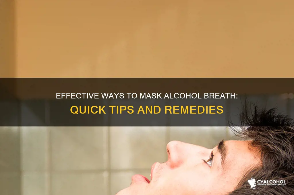 what covers up smell of alcohol on breath