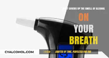 Masking Alcohol Breath: Quick Fix Strategies