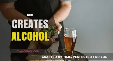 The Science Behind Alcohol: Ingredients, Fermentation, and Distillation Explained