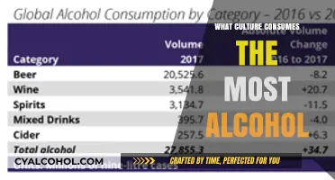 Global Alcohol Consumption: Which Culture Tops the Drinks Chart?