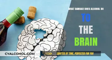 Alcohol's Impact: Uncovering Brain Damage and Cognitive Consequences