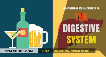 Alcohol's Harmful Effects on the Digestive System