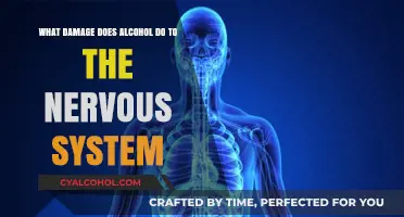 Alcohol's Harmful Effects on the Nervous System