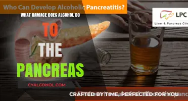Alcohol's Harmful Impact: Understanding Pancreatic Damage and Risks