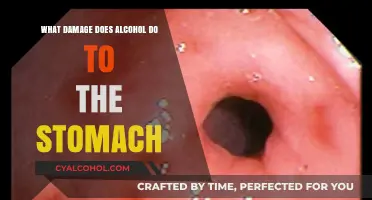 Alcohol's Harmful Effects: How It Damages Your Stomach and Digestive Health