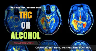 THC vs. Alcohol: Which Substance Causes More Brain Damage?