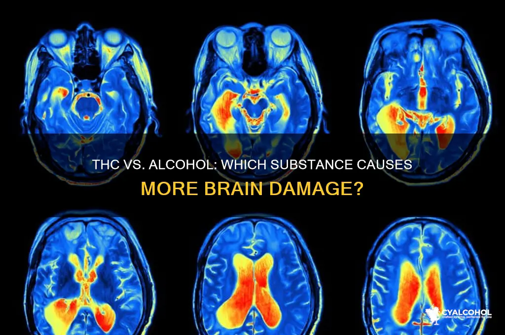 what damages the brain more thc or alcohol