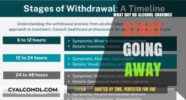 When Do Alcohol Cravings Subside? A Timeline for Recovery