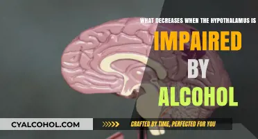 Alcohol's Impact: Hypotalamus Impairment and its Effects