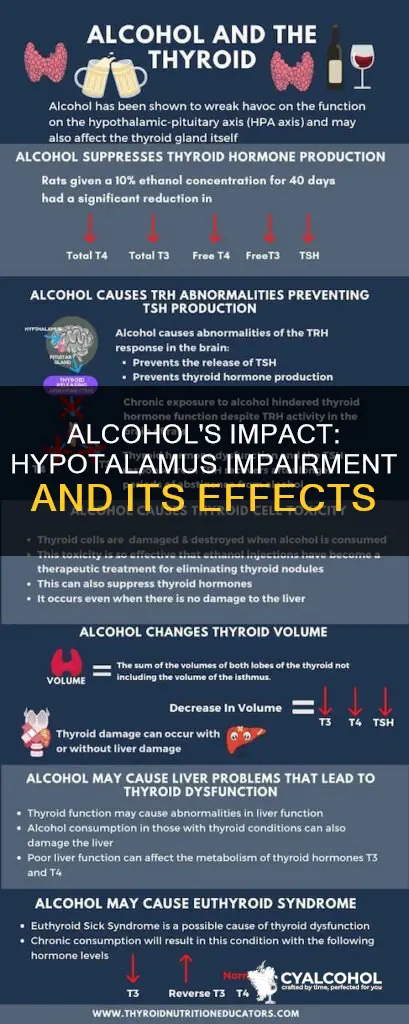 what decreases when the hypothalamus is impaired by alcohol