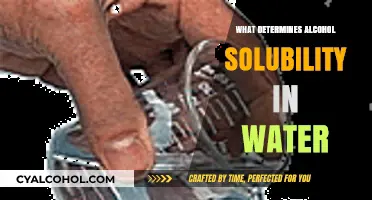 Understanding Alcohol Solubility: Key Factors in Water Dissolution