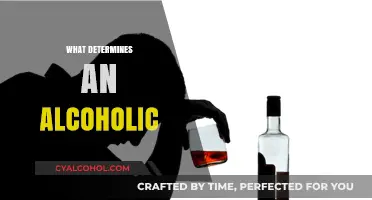 Understanding Alcoholism: Key Factors Defining an Alcoholic's Behavior and Risks
