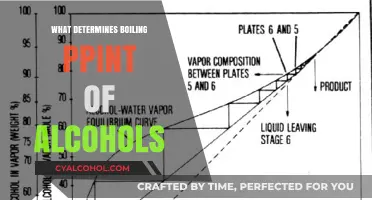 Factors Influencing the Boiling Point of Alcohols Explained