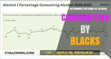 Understanding Factors Shaping Alcohol Consumption Patterns Among Black Communities