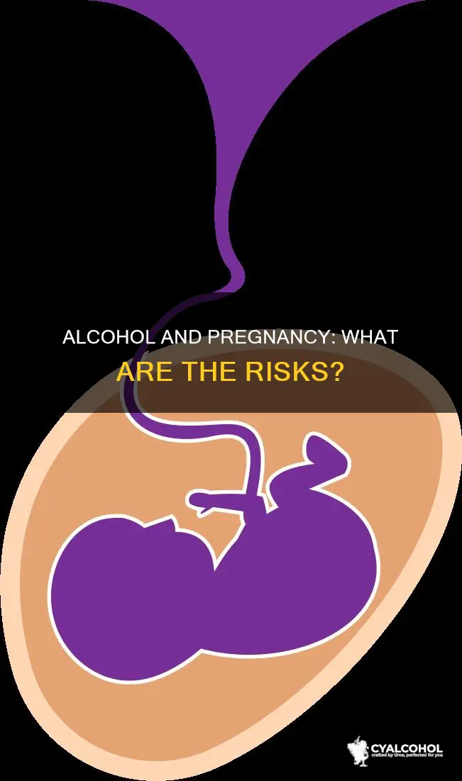 what development issues are associated with alcohol maternal mothers