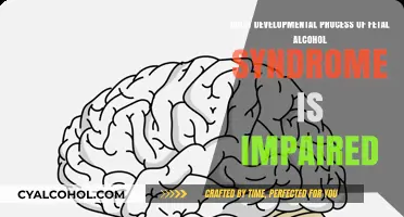 Fetal Alcohol Syndrome: Impaired Brain Development