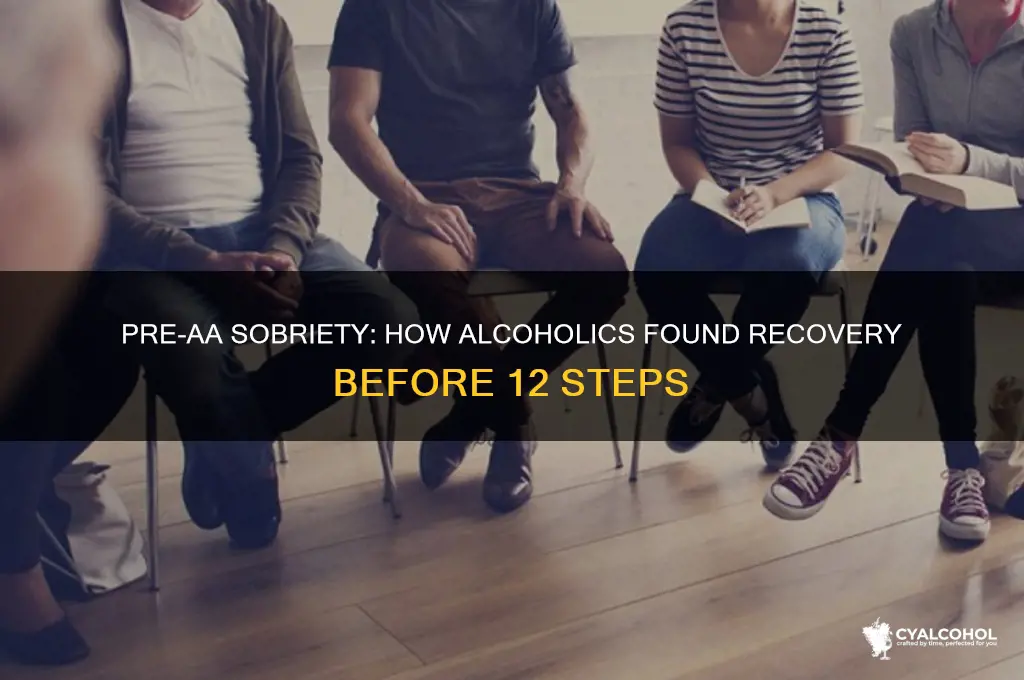what did alcoholics do before aa