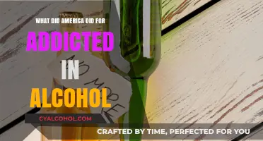 America's Battle Against Alcohol Addiction: Initiatives, Support, and Recovery