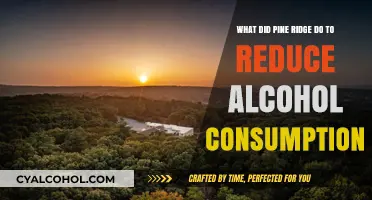 Pine Ridge's Battle Against Alcohol Consumption