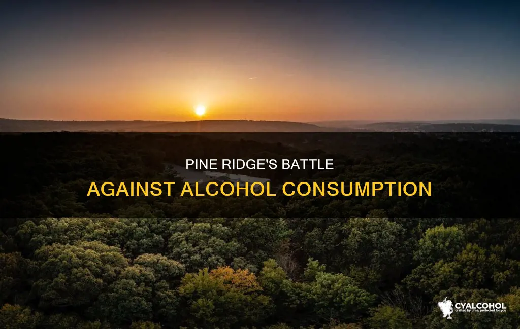 what did pine ridge do to reduce alcohol consumption